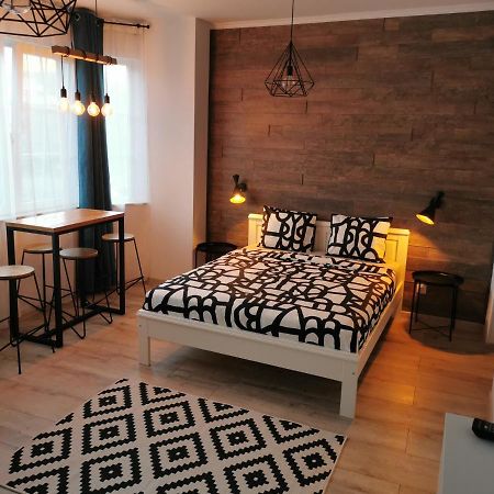 Central Park Studio Petroşani Extérieur photo