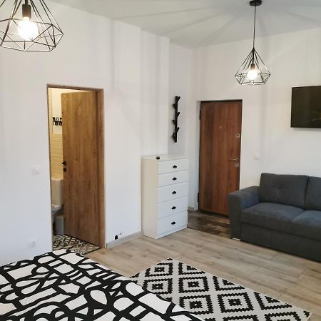Central Park Studio Petroşani Extérieur photo