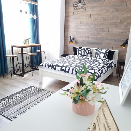 Central Park Studio Petroşani Extérieur photo