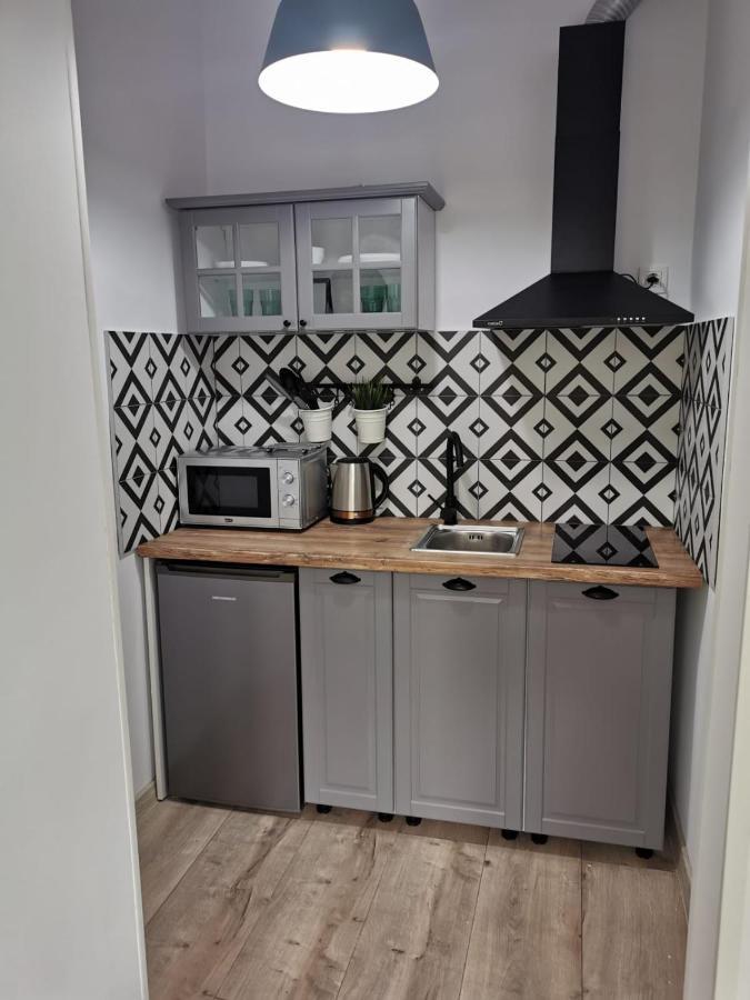 Central Park Studio Petroşani Extérieur photo