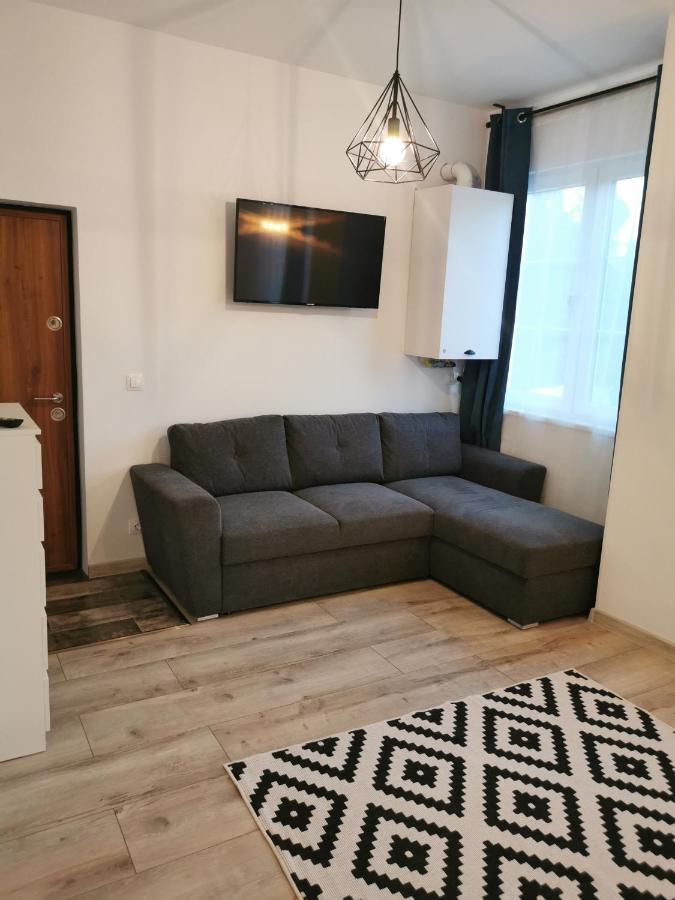 Central Park Studio Petroşani Extérieur photo
