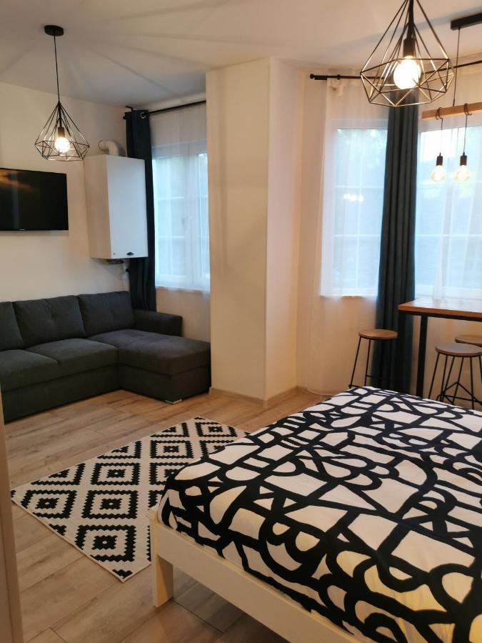 Central Park Studio Petroşani Extérieur photo