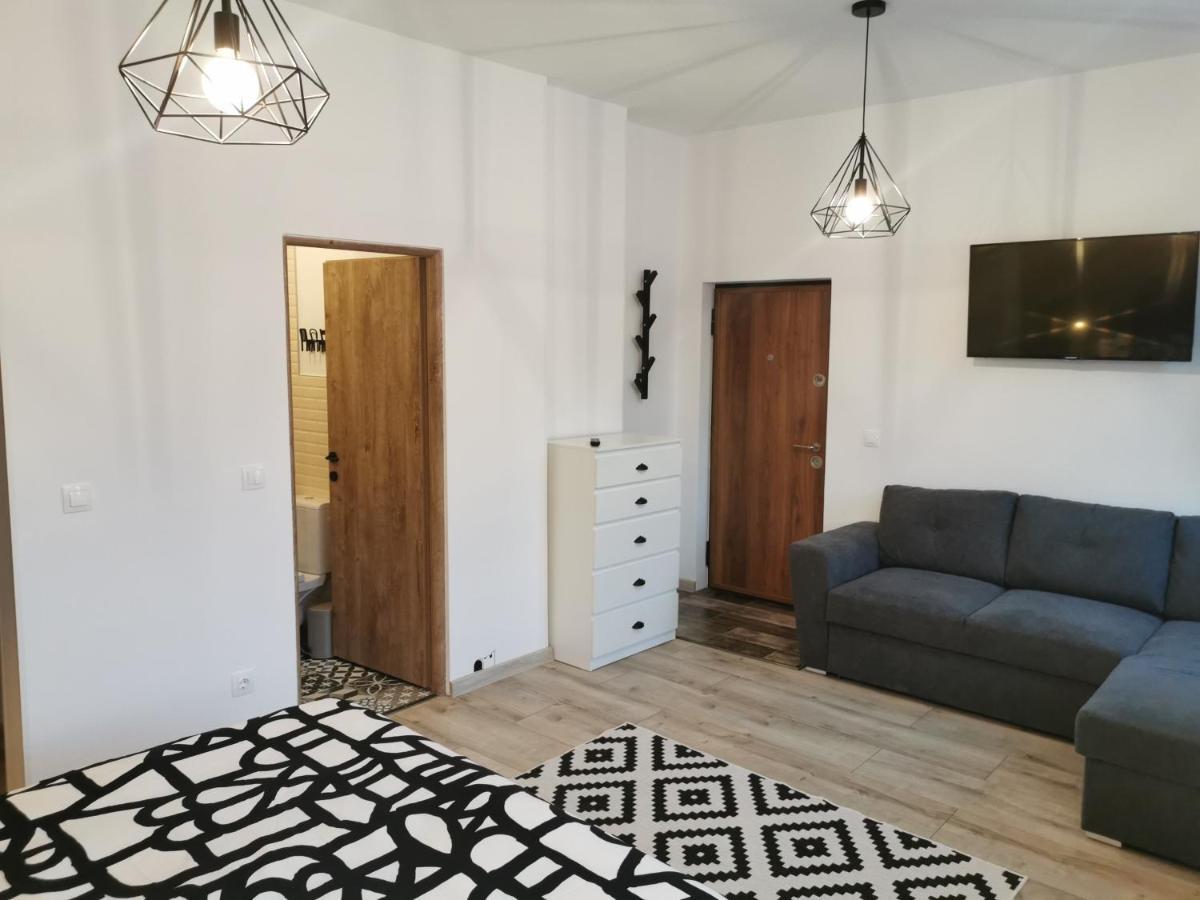 Central Park Studio Petroşani Extérieur photo